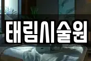 태림시술원