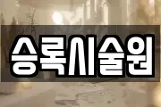 승록시술원
