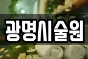 광명시술원