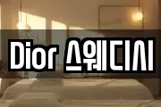 Dior 스웨디시
