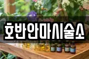 호반안마시술소