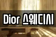 Dior 스웨디시