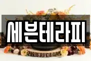 세븐테라피