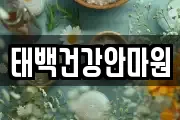 강원특별자치도 태백시 소도동 마사지, 지압등 업체정보