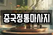 중국정통마사지