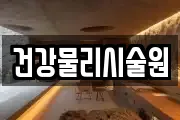 건강물리시술원