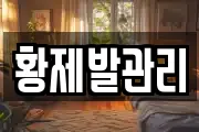 황제발관리