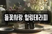 들꽃사랑 힐링테라피