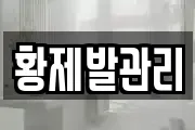 황제발관리