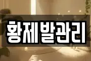 황제발관리