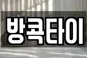 강원특별자치도 횡성군 둔내면 마사지, 지압등 업체정보