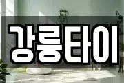 강릉타이
