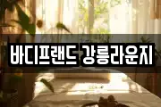 강원 강릉시 난곡동 마사지, 지압등 업체정보
