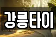 강릉타이