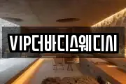 VIP더바디스웨디시