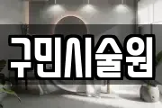 구민시술원
