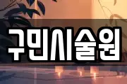 구민시술원