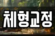 체형교정