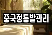 중국정통발관리
