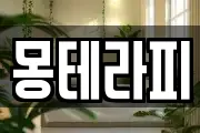 몽테라피