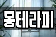 몽테라피