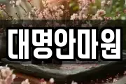 강원 삼척시 원당동 마사지, 지압등 업체정보