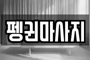 펭귄마사지
