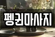 펭귄마사지