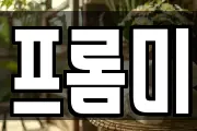 프롬미