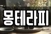 몽테라피