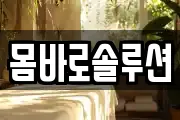 몸바로솔루션