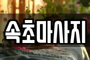 강원 속초시 금호동 마사지, 지압등 업체정보