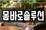 몸바로솔루션