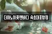 더하노이풋앤바디 속초대포항점