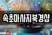 속초마사지북경샵