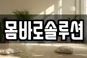 몸바로솔루션