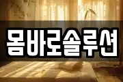 몸바로솔루션