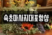 속초마사지대포항샵