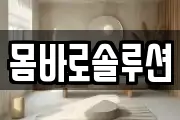 몸바로솔루션