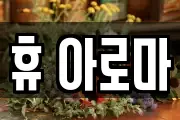 휴 아로마