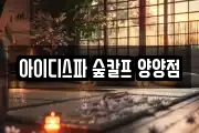 아이디스파 숲칼프 양양점