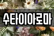 수타이아로마