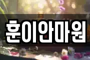 훈이안마원