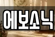 에보소닉