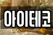 아이테코