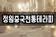정원중국전통테라피