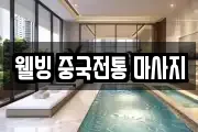 웰빙 중국전통 마사지