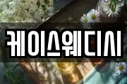 케이스웨디시