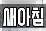 새아침