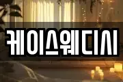 케이스웨디시